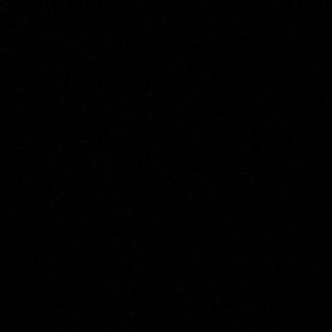 Meet your Posher, Ann